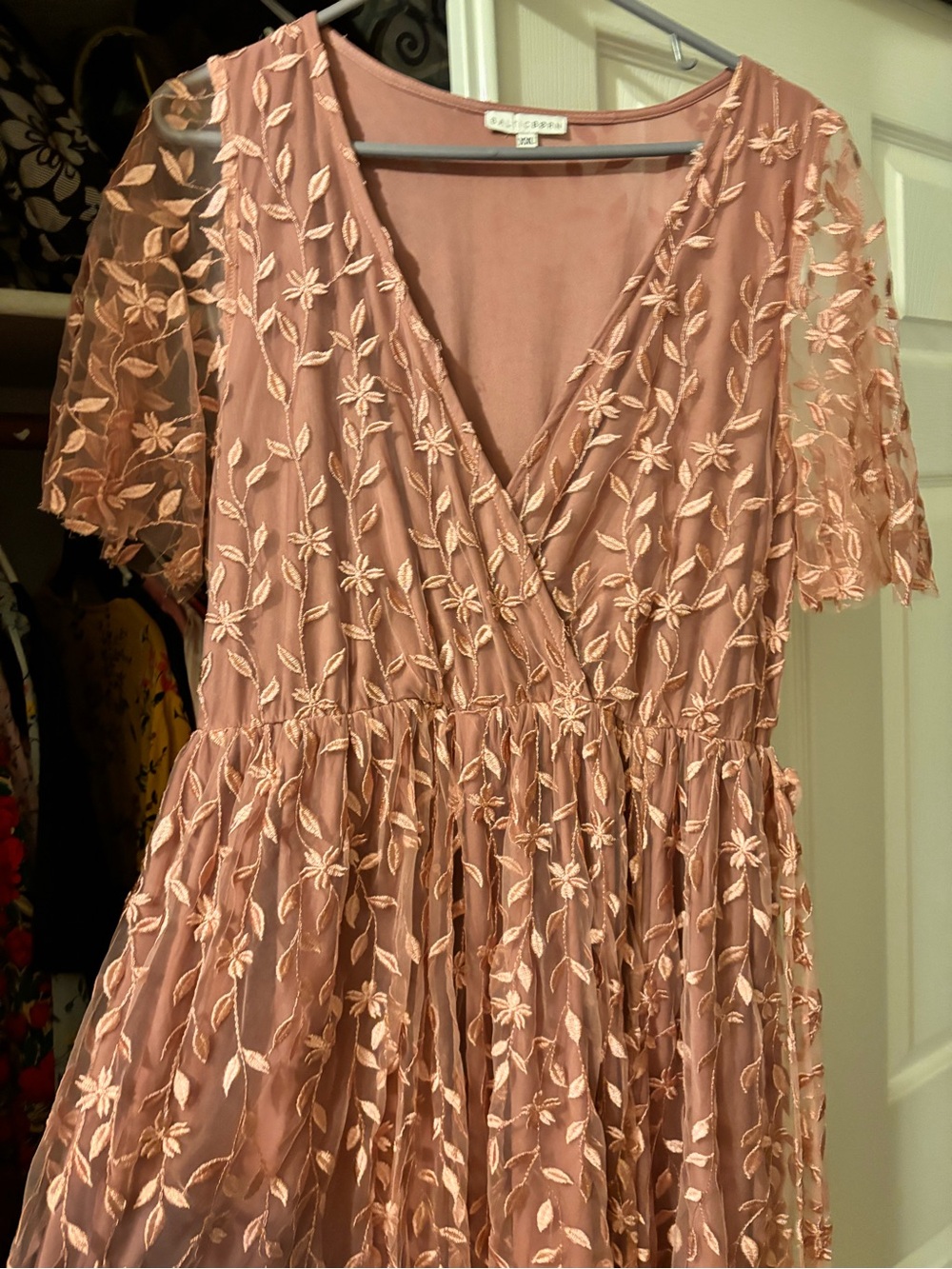 Baltic Born Dusty Rose Embroidered Floral Maxi Dress - Picture 2 of 10